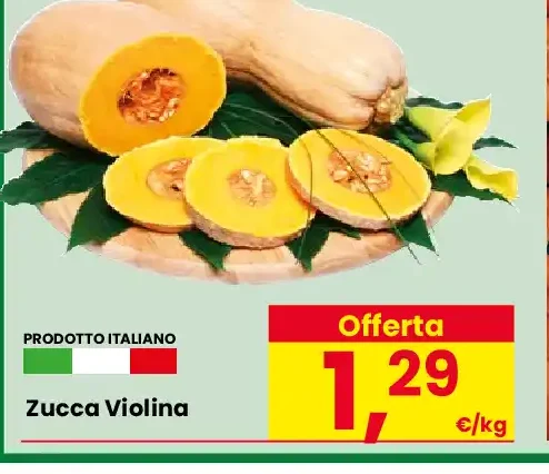 Zucca violina