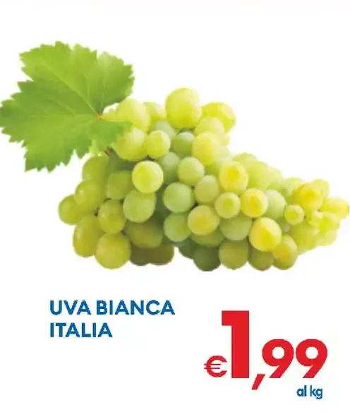 Uva bianca Italia