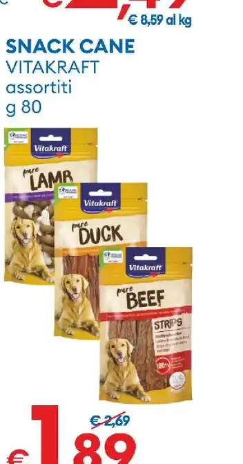 Snack cane