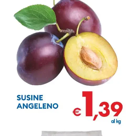 Susine Angeleno