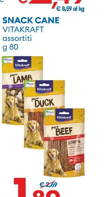 Snack cane
