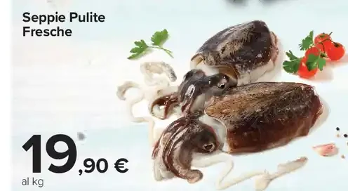 Seppie pulite fresche