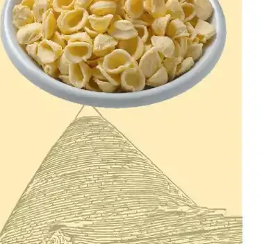 Orecchiette Fresche
