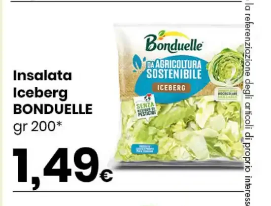 Insalata Iceberg Bonduelle
