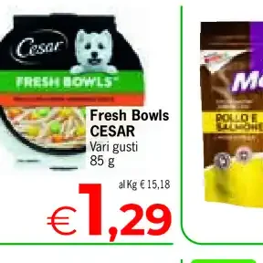 Fresh Bowls Cesar