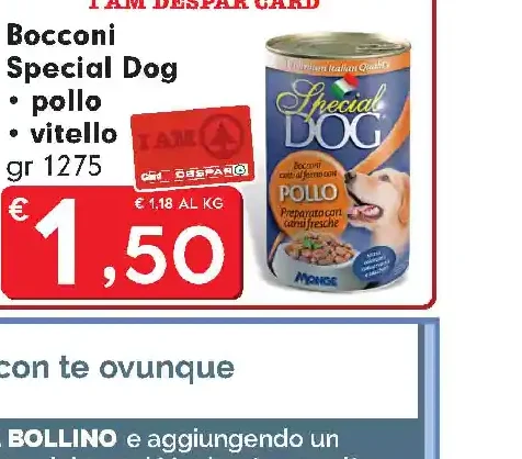 Bocconi Special Dog