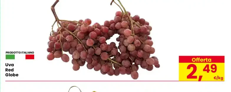 Uva Red Globe