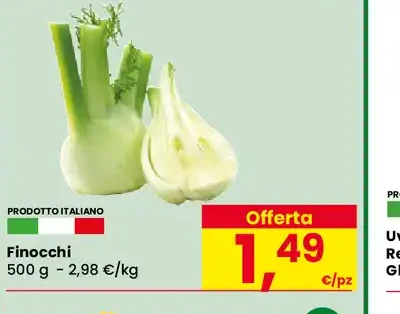 Finocchi