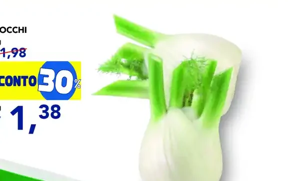 Finocchi