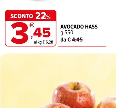 Avocado Hass
