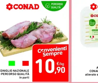 Coniglio nazionale