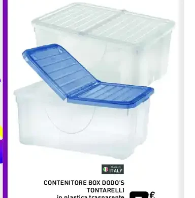Contenitore box Dodo's Tontarelli