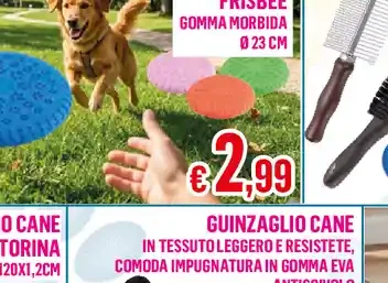 frisbee per cani