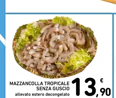 Mazzancolla tropicale