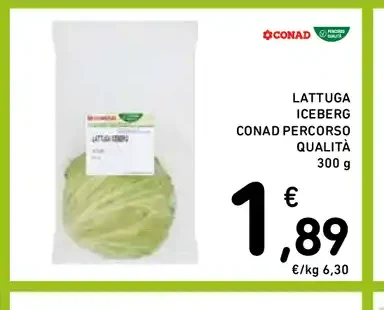 Lattuga iceberg Conad Percorso Qualità