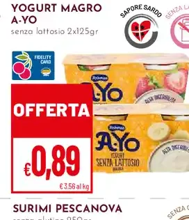 Yogurt Magro A-Yo