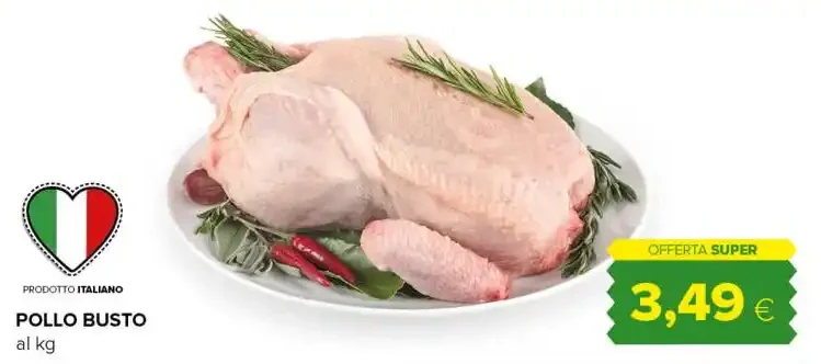 pollo busto