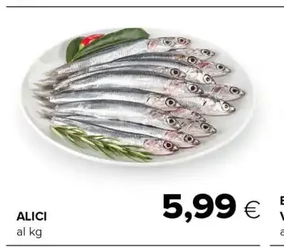 Alici