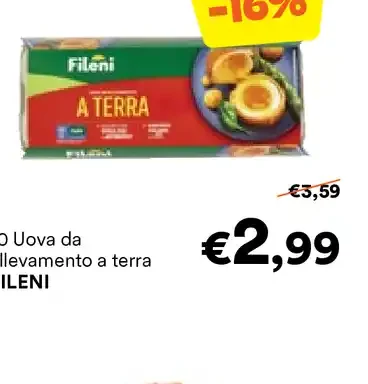 Uova da allevamento a terra