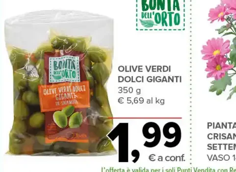 Olive verdi dolci giganti