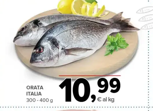 Orata Italia