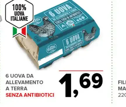 Uova da allevamento a terra