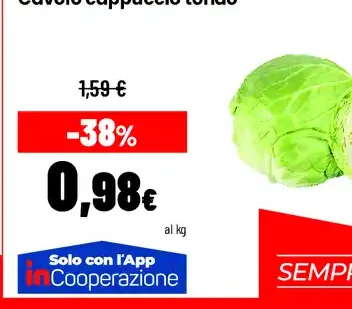 Cavolo cappuccio tondo