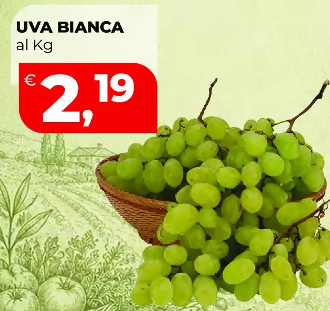 Uva bianca
