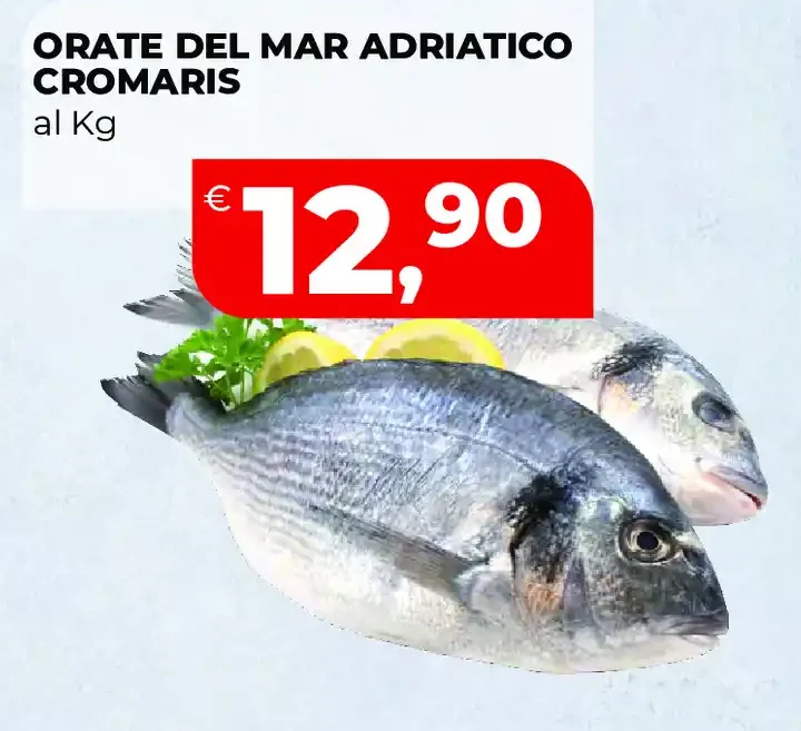 Orate del Mar Adriatico Cromaris