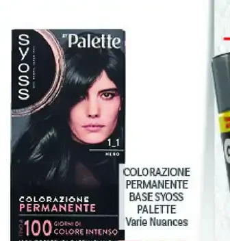 Colorazione permanente Palette
