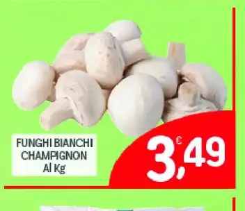 Funghi bianchi champignon