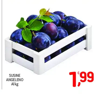 Susine Angeleno