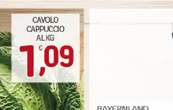 Cavolo cappuccio