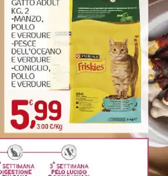Croccantini per gatti
