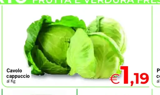 Cavolo cappuccio