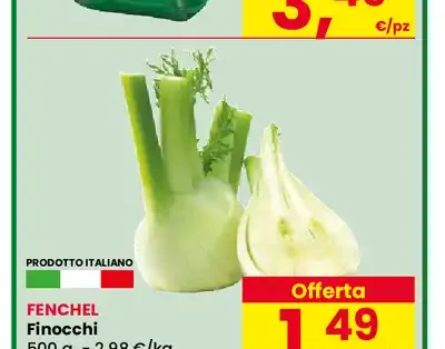 Finocchi