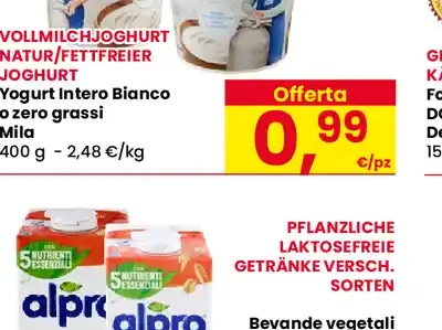 Yogurt intero bianco