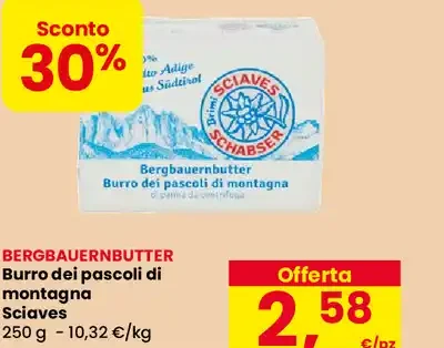 Burro dei pascoli di montagna