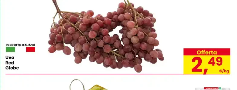 Uva Red Globe