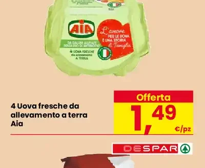 Uova fresche da allevamento a terra
