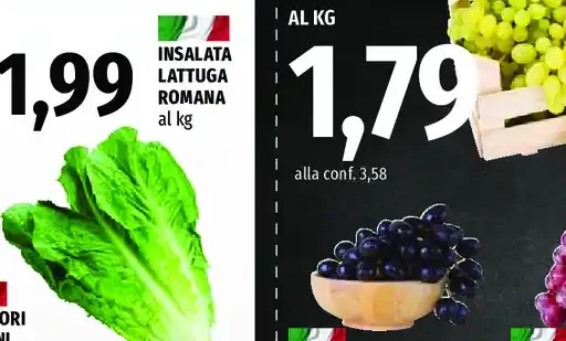 Insalata lattuga romana