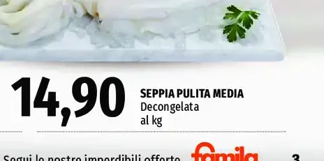 Seppia pulita media