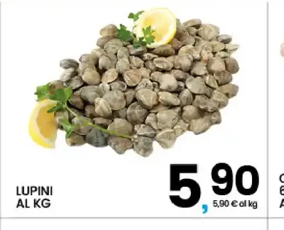 Lupini