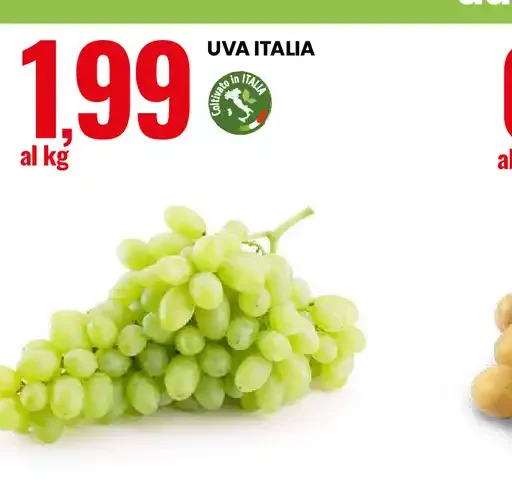 Uva Italia