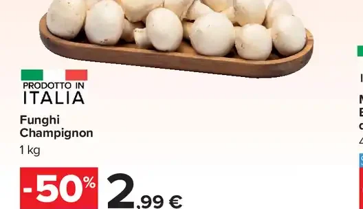 Funghi champignon
