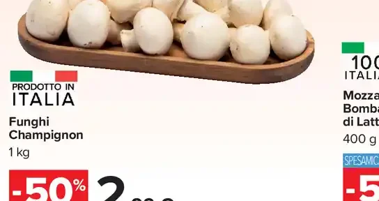 Funghi champignon