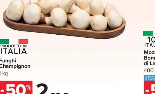 Funghi champignon