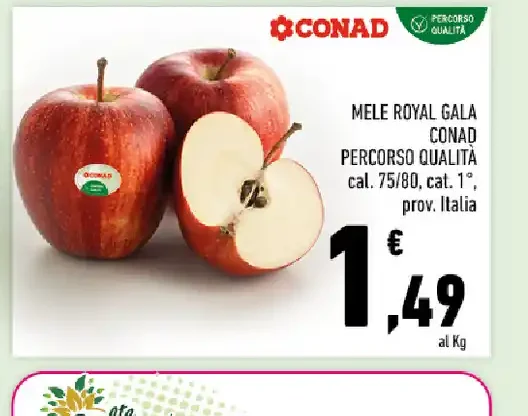 Mele Royal Gala Conad
