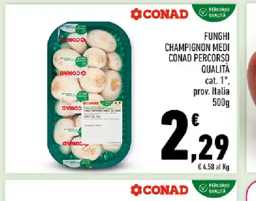 Funghi champignon medi Conad