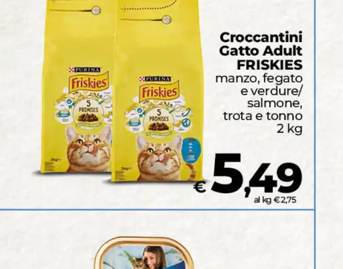 Croccantini Gatto Adult Friskies